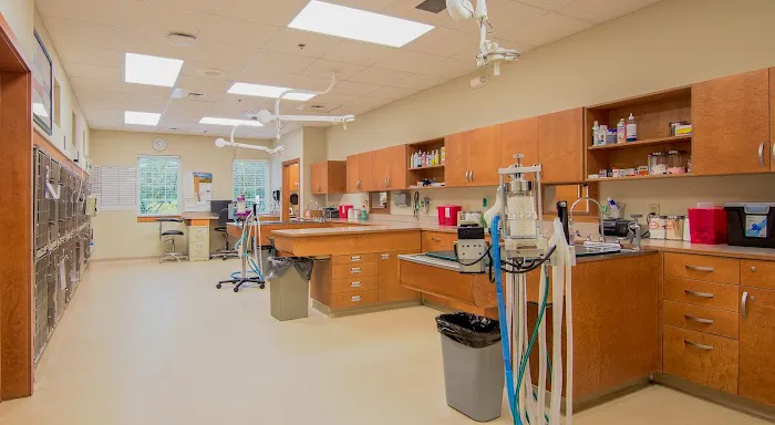 VCA Plymouth Animal Hospital and Pet Resort Picture 6