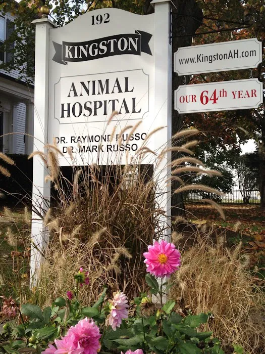 Kingston Animal Hospital Picture 6