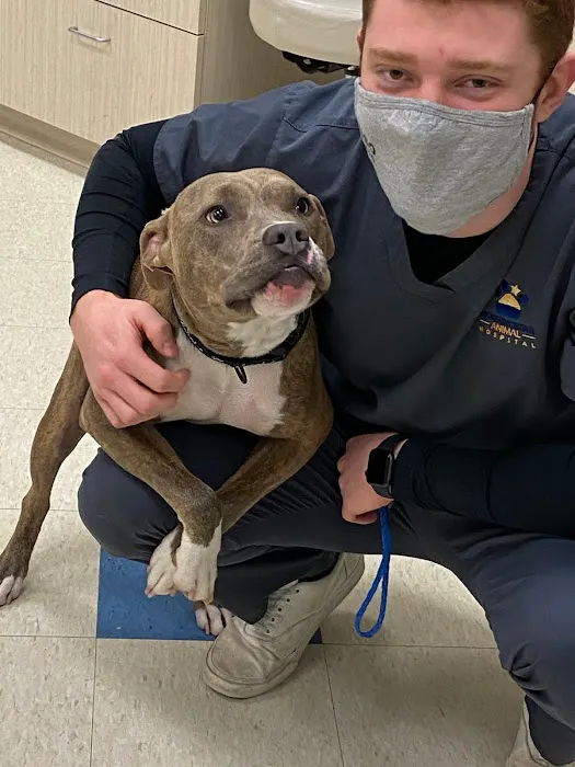 Morningstar Animal Hospital Picture 2
