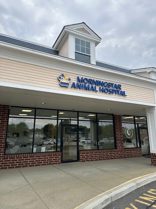 Morningstar Animal Hospital Picture 5