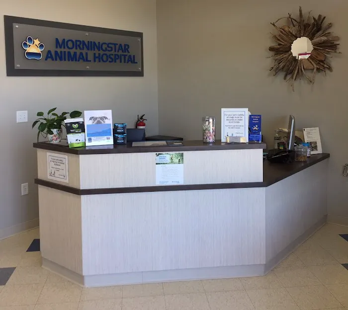 Morningstar Animal Hospital Picture 3