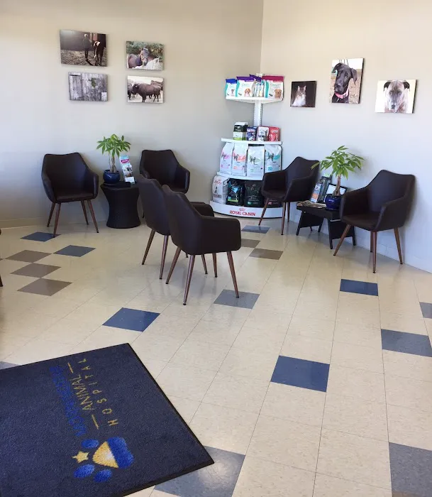 Morningstar Animal Hospital Picture 6