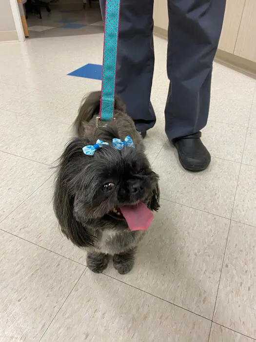 Morningstar Animal Hospital Picture 8