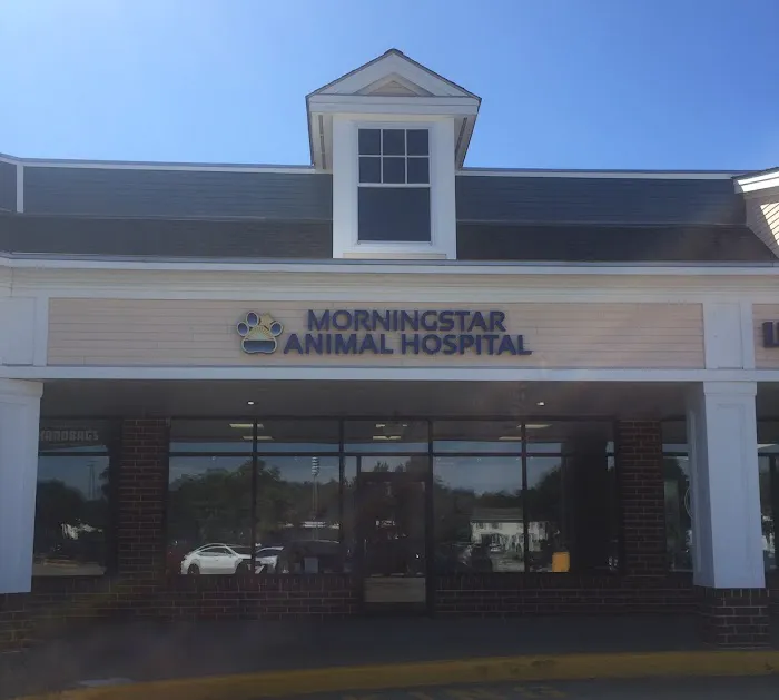 Morningstar Animal Hospital Picture 9