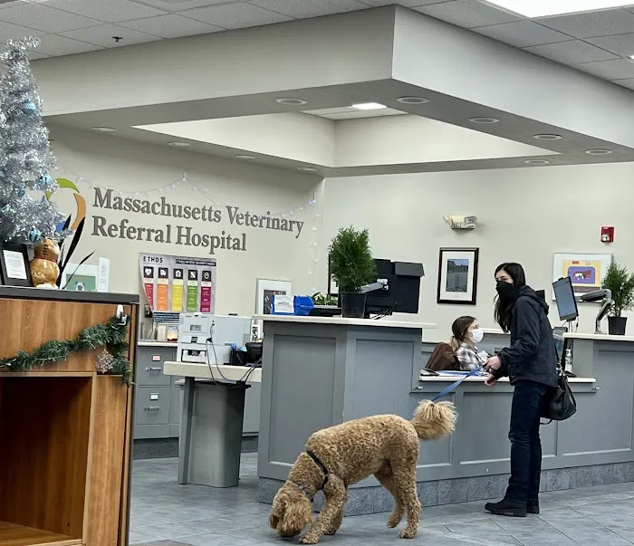 Massachusetts Veterinary Referral Hospital Picture 1