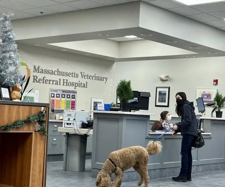 Massachusetts Veterinary Referral Hospital