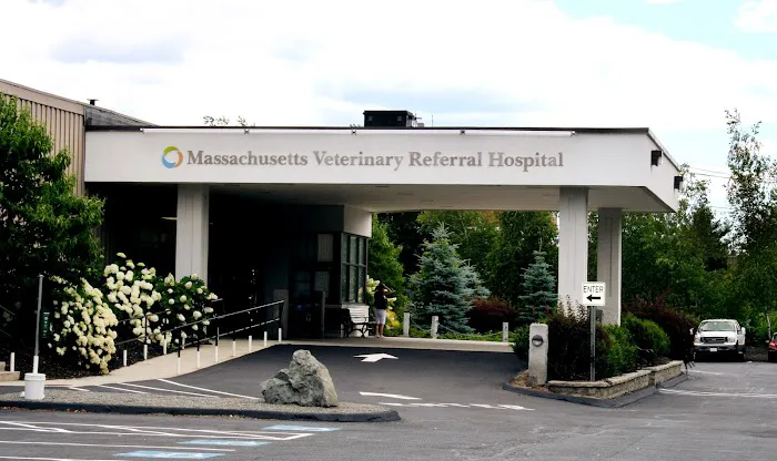 Massachusetts Veterinary Referral Hospital Picture 2