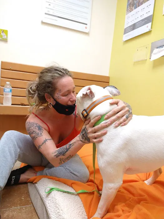 Banfield Pet Hospital Picture 8