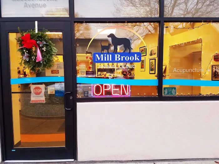 Mill Brook Animal Clinic Picture 3