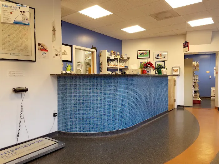 Mill Brook Animal Clinic Picture 4