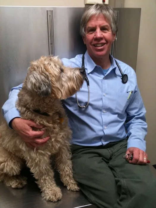 Mill Brook Animal Clinic Picture 8