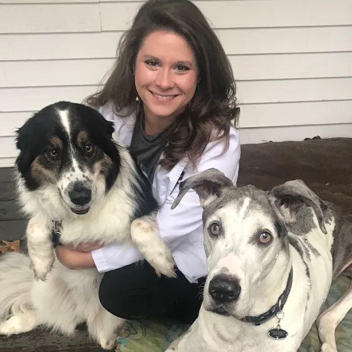 Mill Brook Animal Clinic Picture 7
