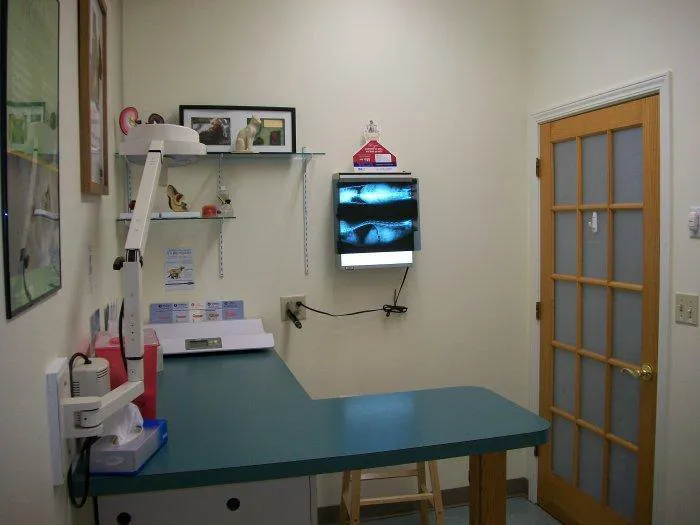 VCA City Cats Hospital Picture 6