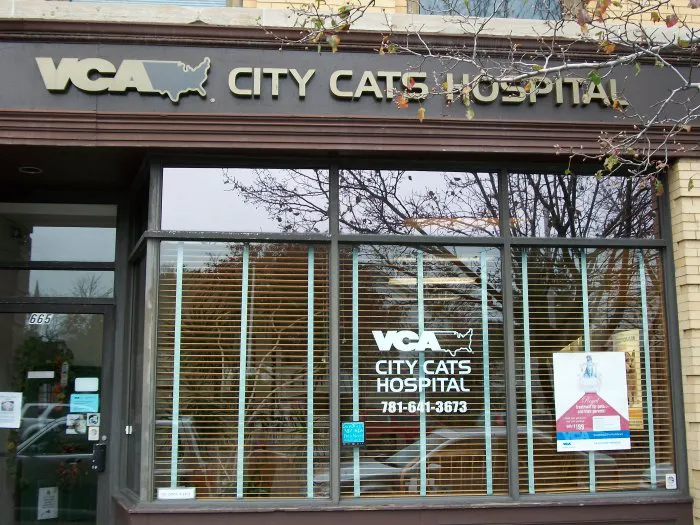 VCA City Cats Hospital Picture 8