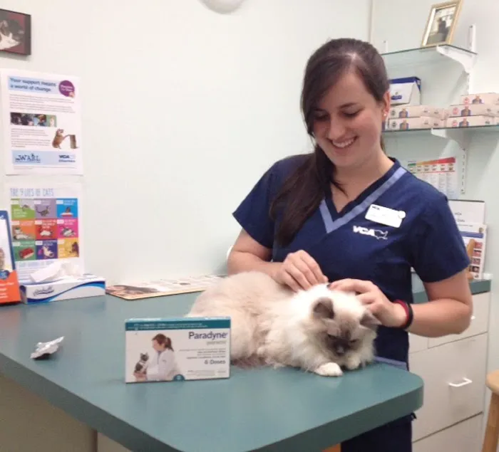 VCA City Cats Hospital Picture 9