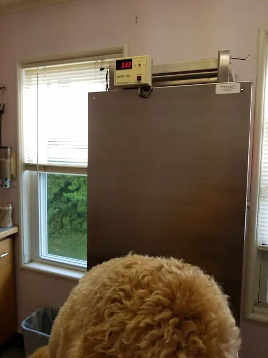 Thrive Pet Healthcare at Medford Picture 9
