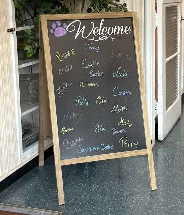 Thrive Pet Healthcare at Medford Picture 10