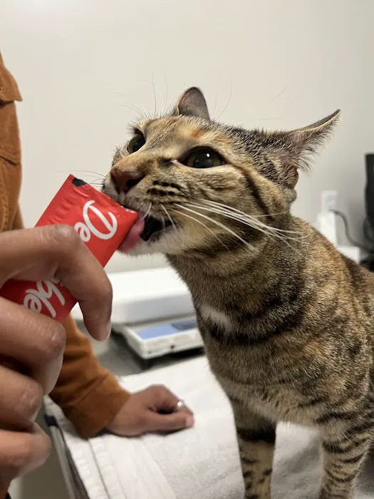 Arlington Animal Clinic Picture 2