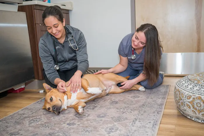 Arlington Animal Clinic Picture 1