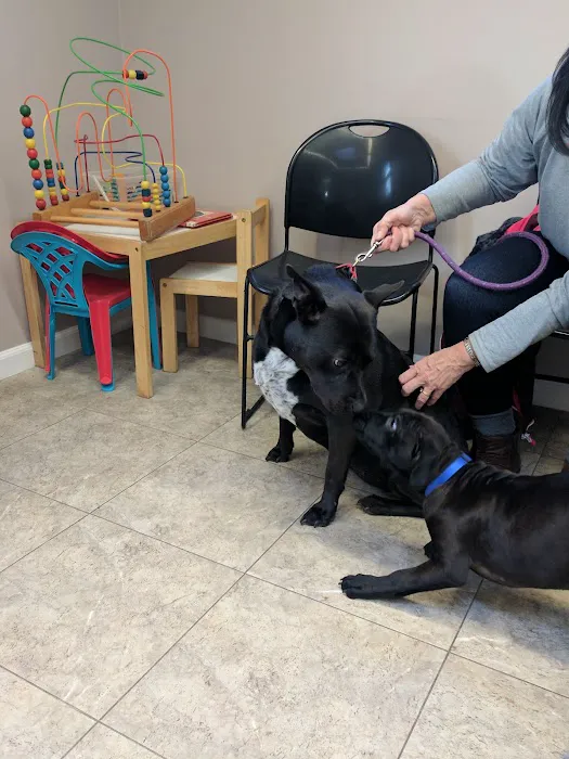 Central Animal Hospital of Stoneham Picture 6