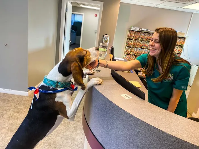 Central Animal Hospital of Stoneham Picture 9