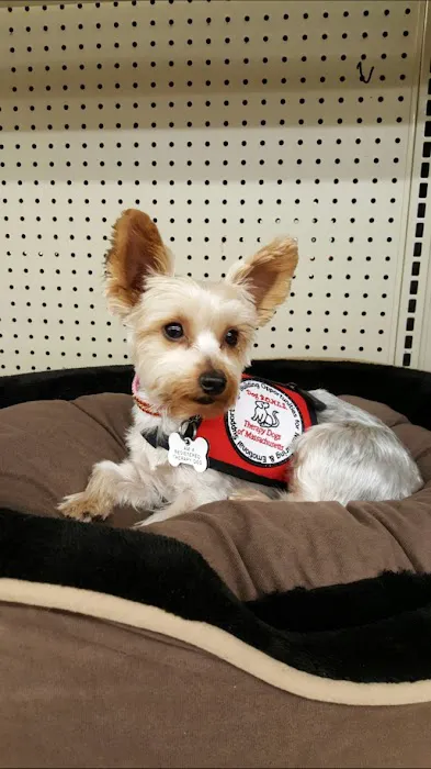 Stoneham Animal Hospital Inc Picture 9