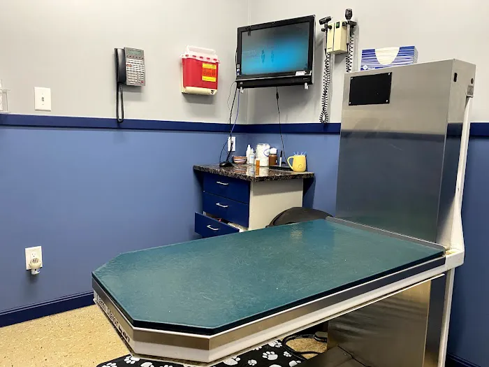 Stoneham Animal Hospital Inc Picture 10