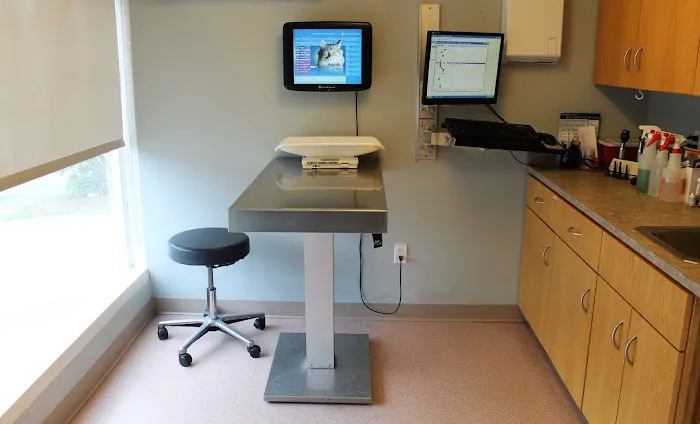 North Reading Veterinary Clinic Picture 3