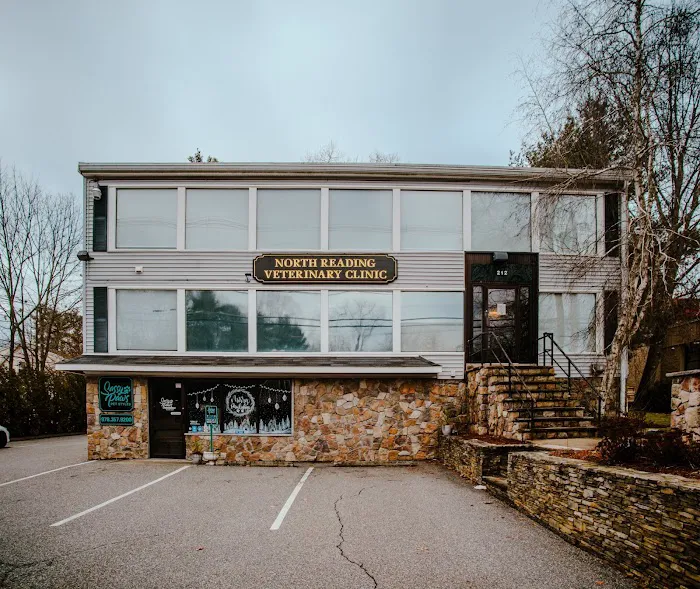 North Reading Veterinary Clinic Picture 4