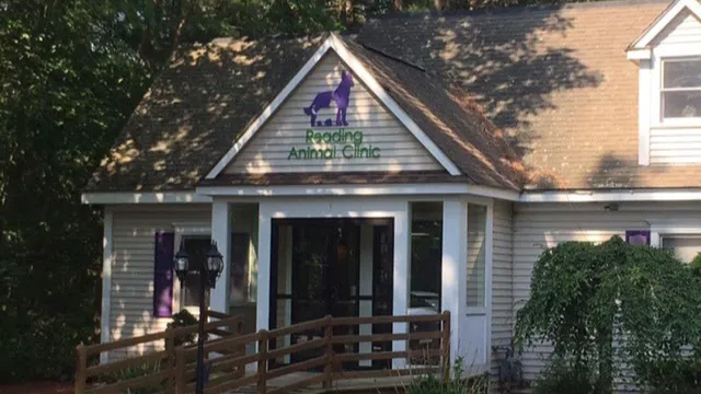 Reading Animal Clinic Picture 3