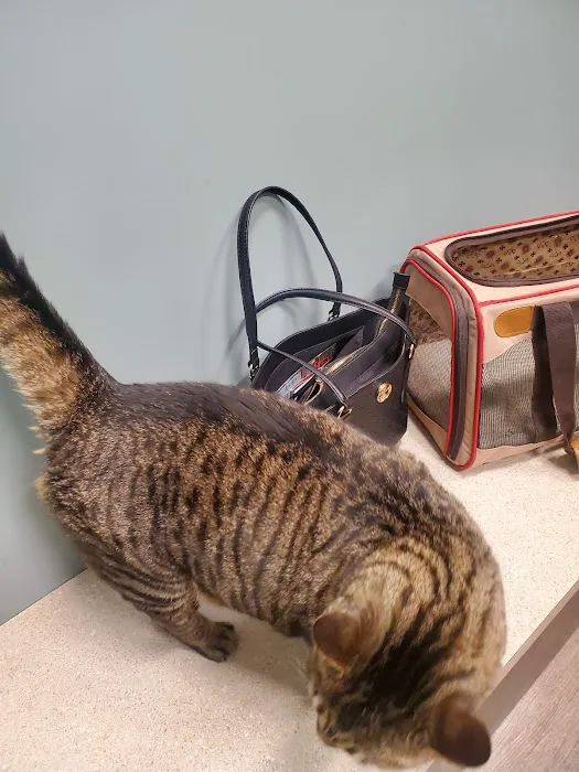 Reading Animal Clinic Picture 5