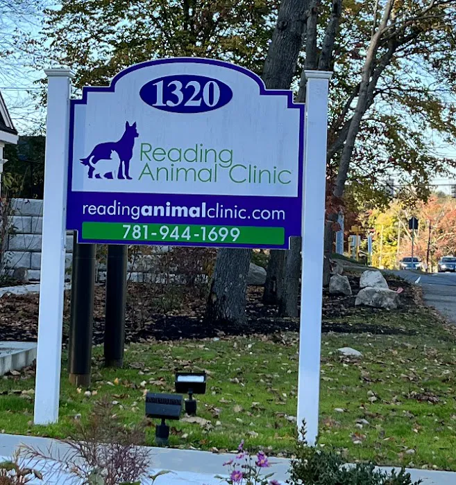 Reading Animal Clinic Picture 10