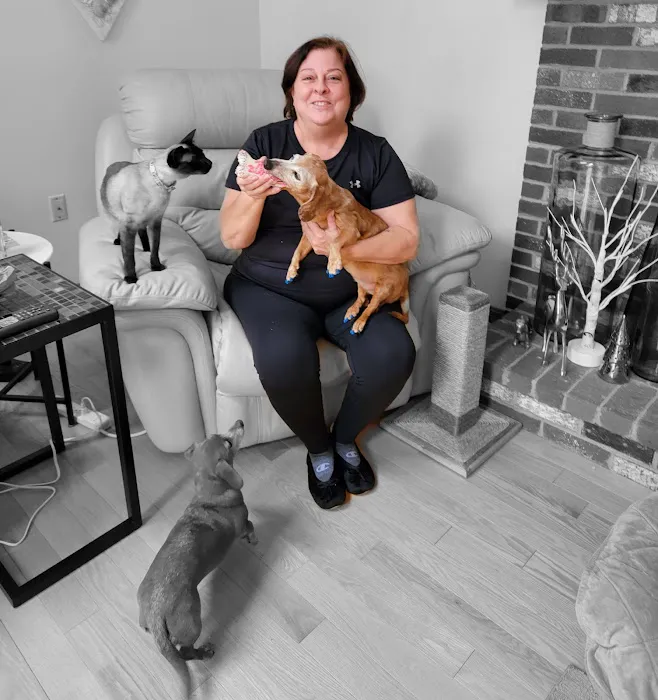 Park Street Veterinary Clinic Picture 1