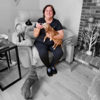 Park Street Veterinary Clinic ico