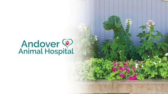 Andover Animal Hospital Picture 8