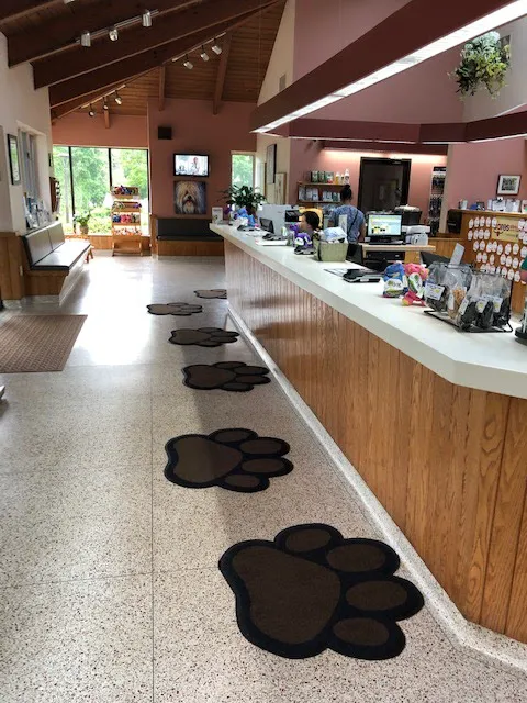 Andover Animal Hospital Picture 7