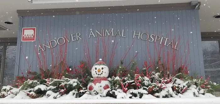 Andover Animal Hospital Picture 5