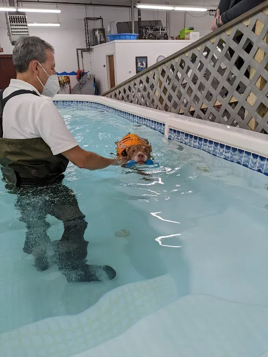 Good Dog Aquatic Fitness Picture 2