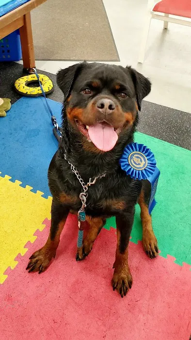 Good Dog Aquatic Fitness Picture 7