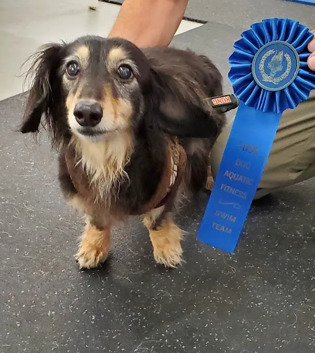 Good Dog Aquatic Fitness Picture 5