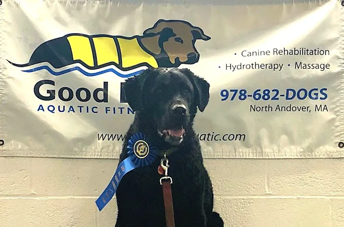 Good Dog Aquatic Fitness Picture 6