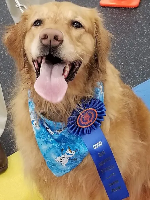 Good Dog Aquatic Fitness Picture 8