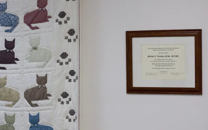 Alternative Veterinary Services LLC Picture 7