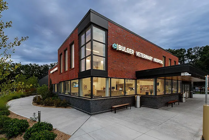 Bulger Veterinary Hospital Picture 3