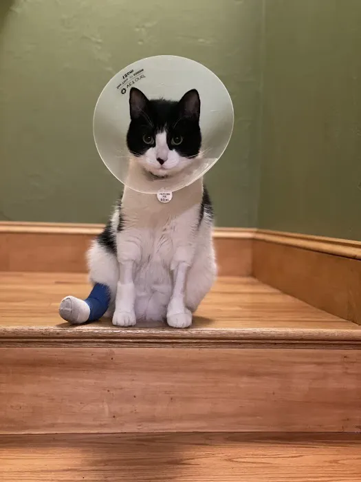 Bulger Veterinary Hospital Picture 7