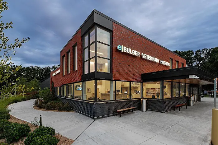 Bulger Veterinary Hospital Picture 9