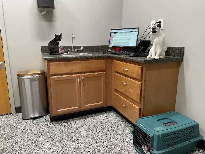 East Mill Animal Hospital Picture 1