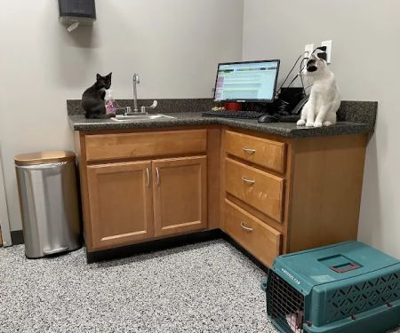 East Mill Animal Hospital