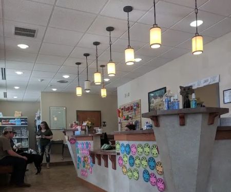 Animal Clinic of Madison
