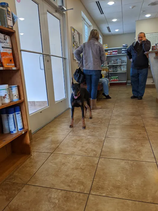 Animal Clinic of Madison Picture 7